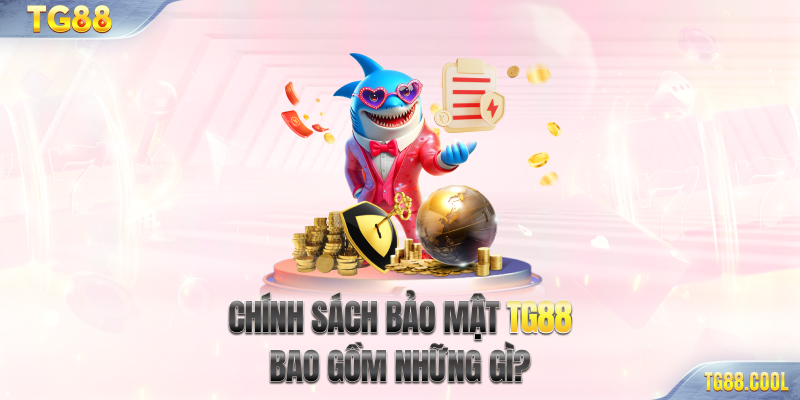 Chính sách bảo mật TG88 bao gồm những gì?