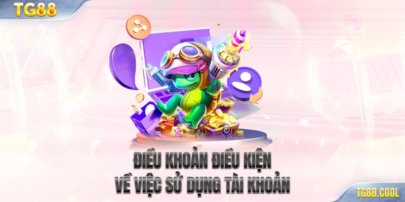 Điều khoản điều kiện về việc sử dụng tài khoản