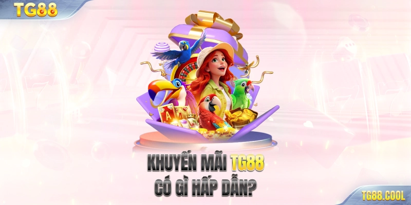 Khuyến mãi TG88 có gì hấp dẫn?